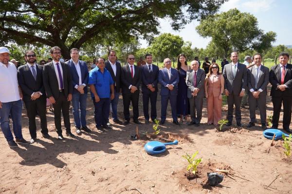 Governo do Piau&iacute; entrega 3 mil mudas frut&iacute;feras e nativas em Santa Filomena(Imagem:Ascom TJPI)