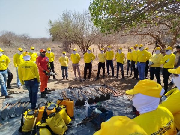 Piauí alcança marca inédita: metade dos municípios já conta com brigadas florestais treinadas(Imagem:Divulgação)