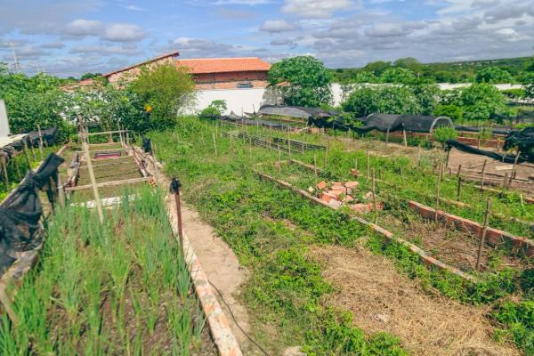 Rafael Fonteles entrega urbanização de horta comunitária em Floriano; obra beneficia 35 famílias(Imagem:João Allbert)