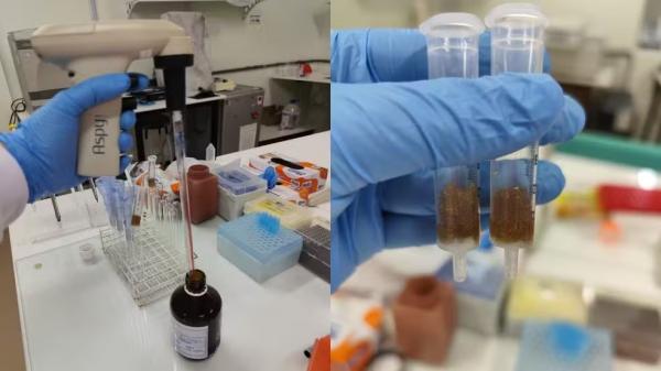 Biom&eacute;dica piauiense &eacute; uma das 15 selecionados para programa de inova&ccedil;&atilde;o na China.(Imagem:Arquivo Pessoal)