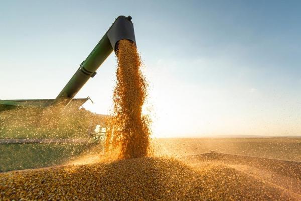 Em abril, as exportações do estado chegaram ao valor de US$ 139,9 milhões e fortelece a soja como protagonista entre os produtos comercializados.(Imagem:Divulgação)