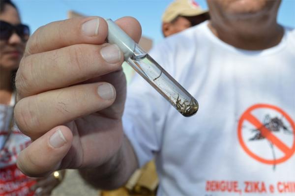 Teresina registrou 708 casos de dengue em uma semana, no período de 22 a 29 de julho, segundo dados do boletim epidemiológico divulgado pela Fundação Municipal de Saúde (FMS), que(Imagem:Reprodução)