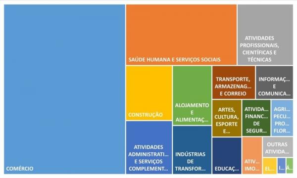 Gráfico representa as atividades econômicas das empresas abertas em 2023.(Imagem:Divulgação)