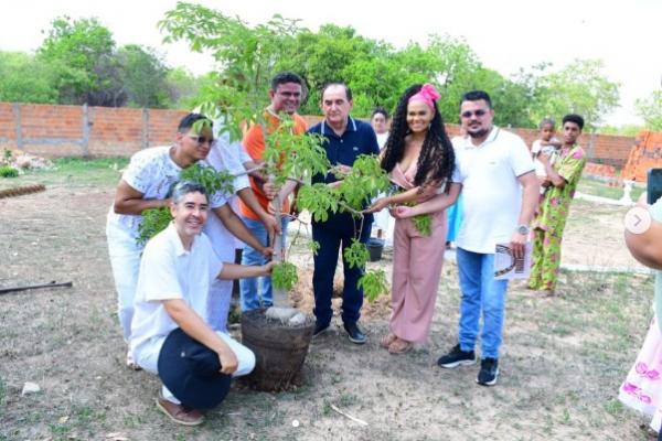 Prefeitura de Floriano inicia plantio de Baobás em homenagem à Consciência Negra.(Imagem:Reprodução/Instagram)