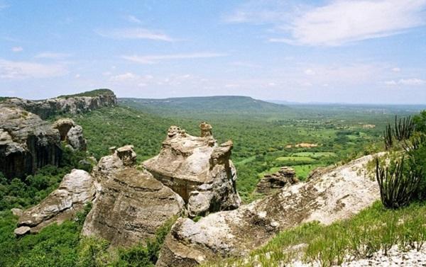 Parque Nacional Serra da Capivara(Imagem:Gabriela Fujita)