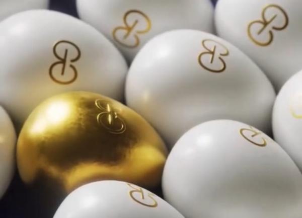 kksksksksksksk(Imagem:Reprodu&ccedil;&atilde;o)