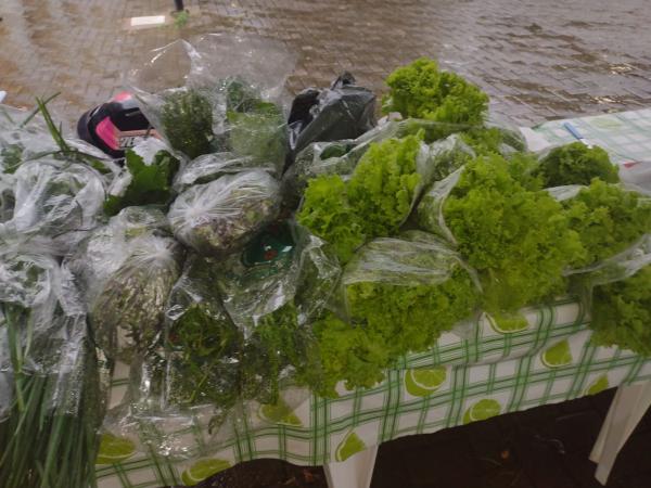 Realizada em Floriano a I Feirinha da Rede Fecundação(Imagem:FlorianoNews)