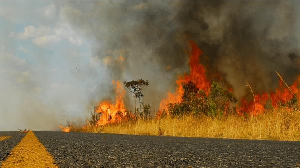 Piauí tem aumento no foco de queimadas no mês de setembro, diz INPE(Imagem:Divulgação)