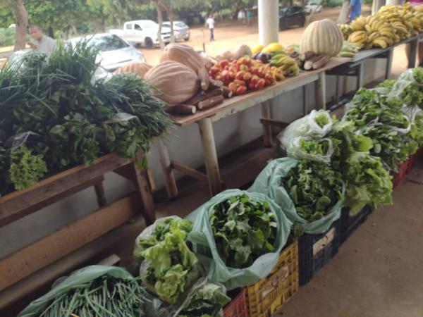 Entrega de mais de 4 mil quilos de alimentos provenientes de agricultores familiares(Imagem:FlorianoNews)