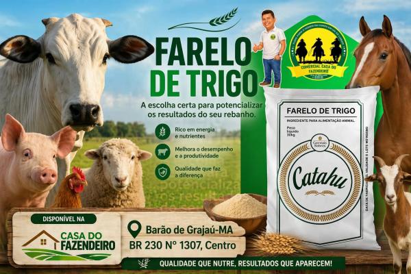 Casa do Fazendeiro oferece produtos de qualidade para o seu rebanho em Bar&atilde;o de Graja&uacute;.(Imagem:Divulga&ccedil;&atilde;o)