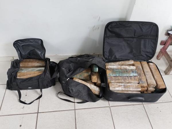 Polícia Civil incinera cerca de 70kg de drogas em Bom Jesus.(Imagem:Ascom/Segurança Pública)