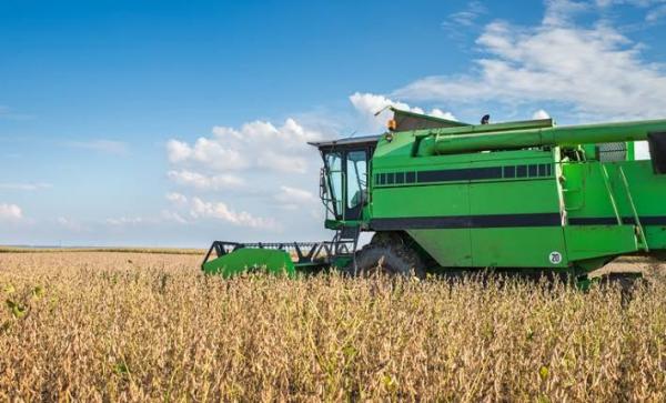 Em agosto, a soja atingiu 79% , o milho 11% e o farelo da soja 4,6% dos produtos negociados.(Imagem:Divulgação)