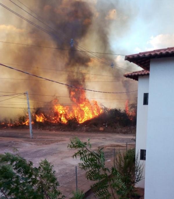 Incêndio atinge área de mata perto de condomínio residencial em Teresina(Imagem:Reprodução)