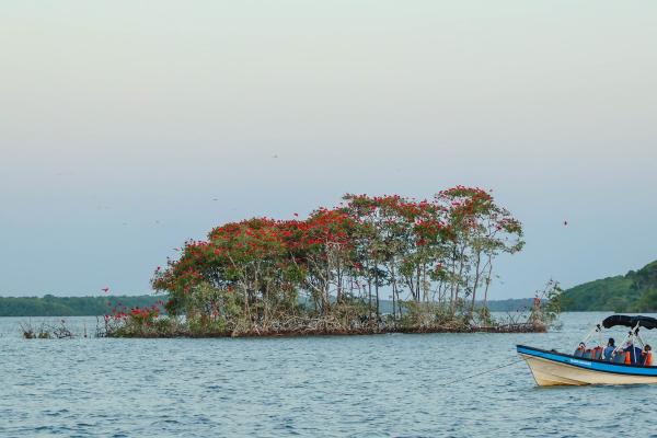 Delta do Rio Parna&iacute;ba registra crescimento de 23,6% na visita&ccedil;&atilde;o tur&iacute;stica em janeiro deste ano.(Imagem:Thiago Amaral)