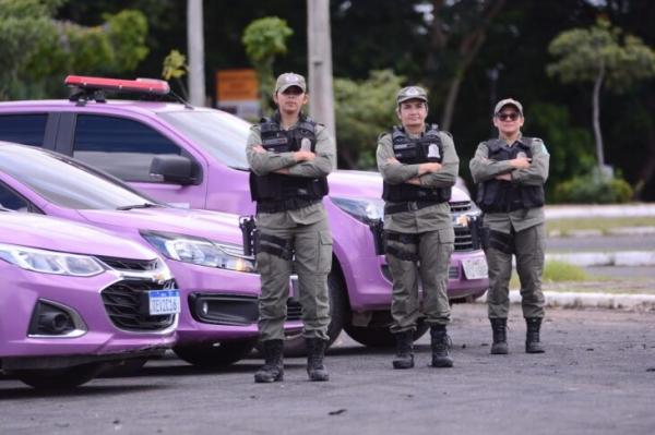 Somente no primeiro semestre de 2023 foram registrados 164 atendimentos às mulheres com medidas protetivas de urgência no estado.(Imagem:Divulgação)