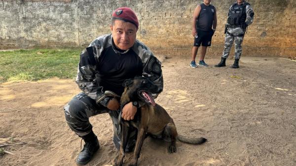 Integração do uso de cães policiais eleva eficiência e credencia novos investimentos da SSP(Imagem:Divulgação)