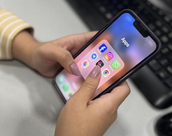 A publicação detalha que o Poder Executivo pode firmar parcerias e convênios com entidades públicas e privadas para apoiar ações de combate digital.(Imagem:Gilza Beatriz)