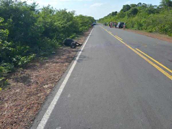 Um homem identificado como Antônio Valdones Martins Meneses, 40 anos, morreu ao colidir a moto que pilotava com uma vaca na PI-115, em Sigefredo Pachedo. Segundo a Polícia Militar,(Imagem:Reprodução)