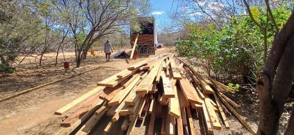 Semarh já apreendeu 213 m³ de madeira ilegal em 2025, aumento de 86% em relação ao ano passado.(Imagem:Ascom Semarh)