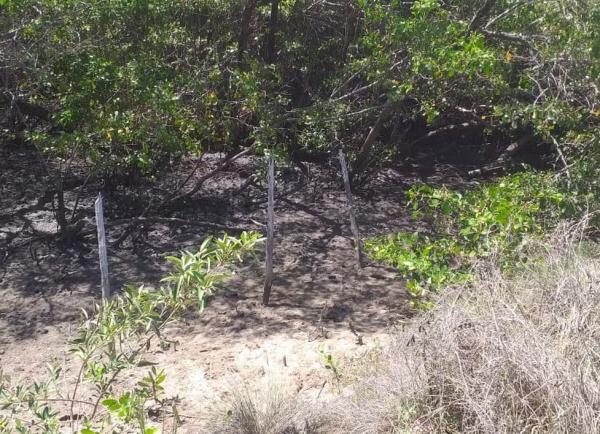 Corpo decapitado e carbonizado é encontrado em estrada próximo a ponto turístico no litoral do Piauí.(Imagem:Polícia Militar)