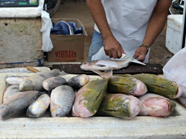 Sine oferta vaga para trabalhador da preparação de pescado.(Imagem:Taís Nascimento/G1)
