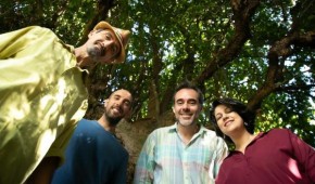 Quarteto Enredado(Imagem:Divulgação)