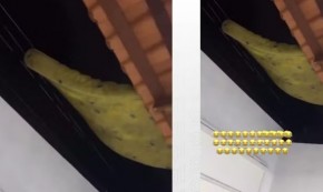 kksksksksksksk(Imagem:Reprodu&ccedil;&atilde;o)