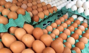 Ovos de galinha.(Imagem:Agência IBGE)