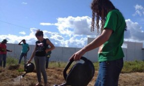 Escolas do semiárido recebem Sistemas Agroecológicos(Imagem:Divulgação)