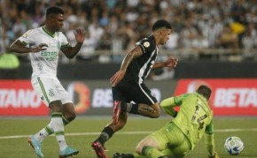 Botafogo supera América-MG e abre vantagem na liderança do Brasileirão(Imagem:Divulgação)