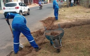 Prefeitura de Teresina e Equatorial Piauí lançam Campanha de conservação das árvores(Imagem:Reprodução)