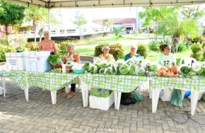 Feira da Agricultura Familiar celebra os 128 anos de Floriano com valorização ao homem do campo.(Imagem:Reprodução/Instagram)