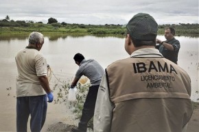 Concursos Ibama e ICMBio: Mourão confirma editais com 740 vagas(Imagem:Divulgação)