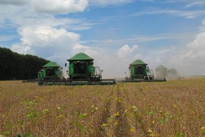 Piauí será sede da abertura da colheita nacional de soja em 2022(Imagem:Reprodução)