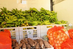 Prefeitura de Floriano realiza distribuição de merenda escolar produzida pela agricultura familiar(Imagem:Reprodução)