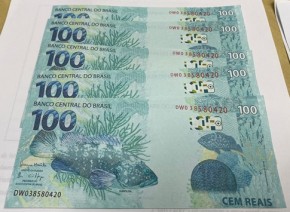 PF apreende R$ 2 mil em notas falsas e prende uma pessoa em Parnaíba(Imagem:Divulgação/PFPI)