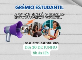 10ª GRE de Floriano sediará Encontro Regional de Grêmio Estudantil(Imagem:Divulgação)