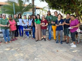 Floriano celebra o Dia Internacional da Árvore com Oficina de Produção de Mudas(Imagem:Reprodução/Instagram)