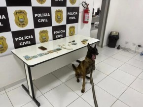 Dois são presos com R$ 12 mil ao sair de motel em Teresina por tráfico de drogas(Imagem:Divulgação)