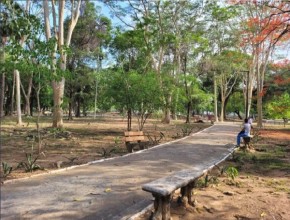 Governo vai lançar primeiro Castramóvel do estado e novo programa ambiental na segunda (5)(Imagem:Bartolomeu Almeida)