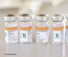 A OMS (Organização Mundial da Saúde) recomenda a aplicação de uma dose de reforço das vacinas contra Covid-19 em pessoas com mais de 60 anos que receberam duas doses da Coronavac o(Imagem:Reprodução)