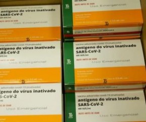 O presidente Jair Bolsonaro (sem partido) afirmou nesta segunda-feira (25) que o governo foi informado por autoridades chinesas de que insumos para a fabricação da Coronavac devem(Imagem:Reprodução)