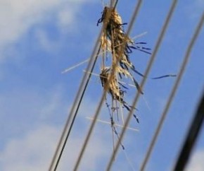A Equatorial Energia informou que as ocorrências envolvendo a presença de pipas, também conhecidas como papagaios de papel, na rede elétrica do Piauí, aumentaram cerca de 10 vezes(Imagem:Reprodução)