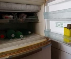 Policiais militares do 17º Batalhão encontraram tabletes de substâncias análogas à maconha dentro do congelador de uma geladeira no residencial Torquato Neto, neste sábado(12). A a(Imagem:Reprodução)