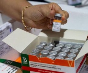 O Piauí recebeu na tarde desta segunda-feira (9) mais 21.200 doses da vacina Coronavac, fabricada pelo Instituto Butantan, contra a Covid-19. Na terça-feira (10), o estado irá rece(Imagem:Reprodução)