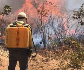 Focos de incêndios aumentam mais de 190% no Piauí e Bombeiros fazem alerta(Imagem:Divulgação)