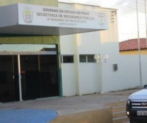 A Polícia Civil concluiu o inquérito que investigava o assassinato do idoso José Cardoso da Silva Filho, ocorrida em abril deste ano no município de Campo Maior, no Norte do Piauí.(Imagem:Reprodução)