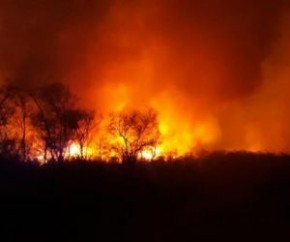 Equipes do Corpo de Bombeiros de Floriano e São Raimundo Nonato estão na região combatendo o incêndio. De acordo com a prefeitura, a população da região tem tentado ajudar, dando a(Imagem:Reprodução)