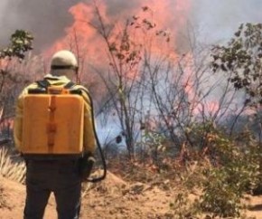 Audiência: aumento considerável de queimadas preocupa autoridades no Piauí(Imagem:Reprodução)