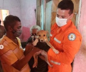 Uma equipe do Corpo de Bombeiros do Piauí resgatou um filhote de cachorro que estava preso entre dois muros no bairro São Joaquim, Zona Norte de Teresina. A guarnição de salvamento(Imagem:Reprodução)